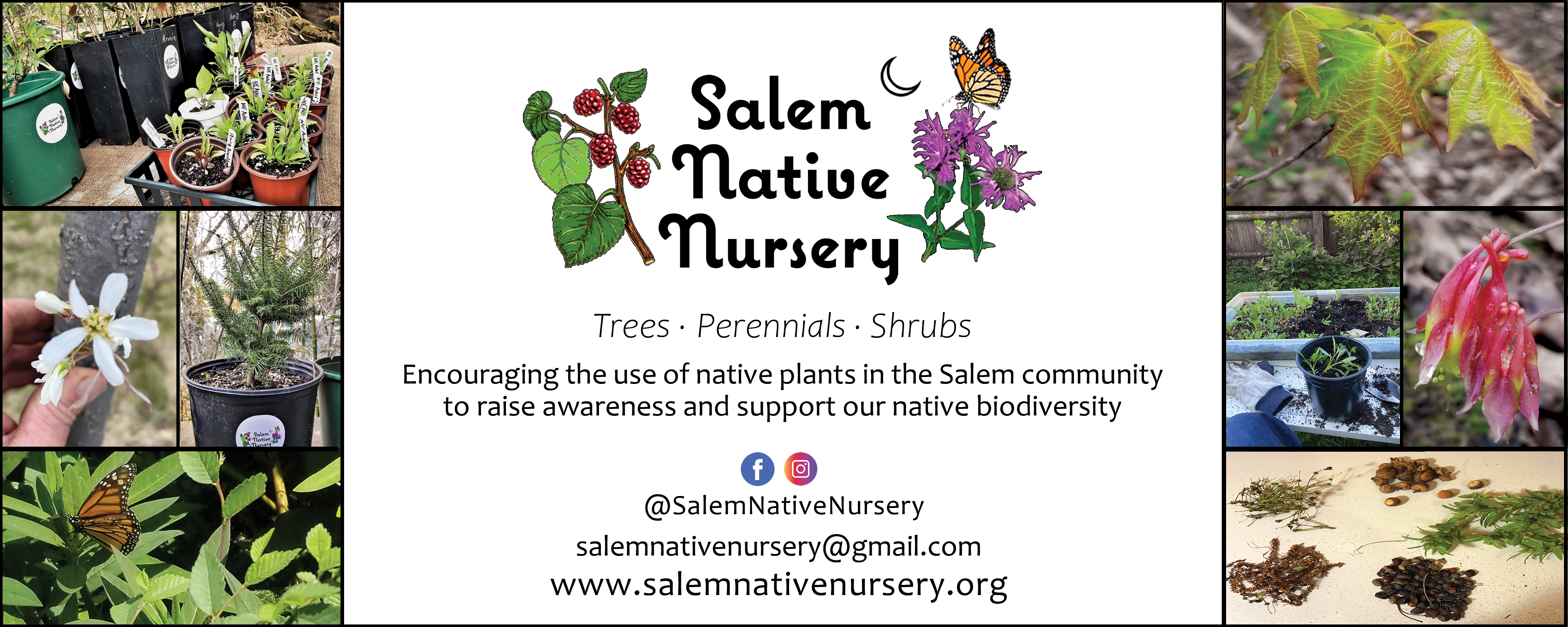 Salem Native Nursery Banner